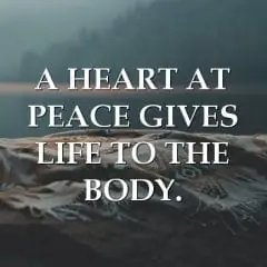 Peaceful Heart