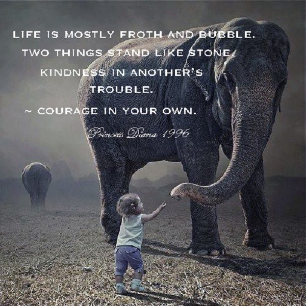 Kindness And Courage For Ourselves And Others
