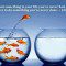 New Heights Can Be Achieved When We Bring New Challenges Into Life