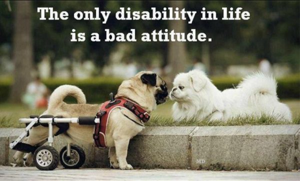 Attitude Is Everything