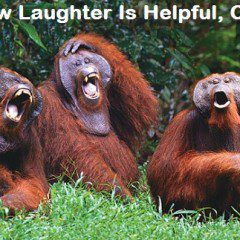 Laughing Your Way To Better Health