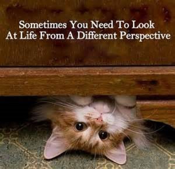 Your Perspective Can Change Your Life