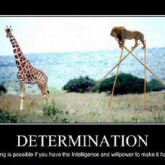 Determination Makes Anything Possible