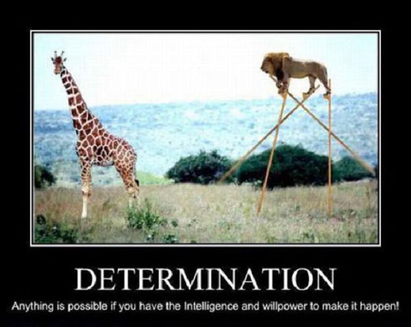 Determination Makes Anything Possible