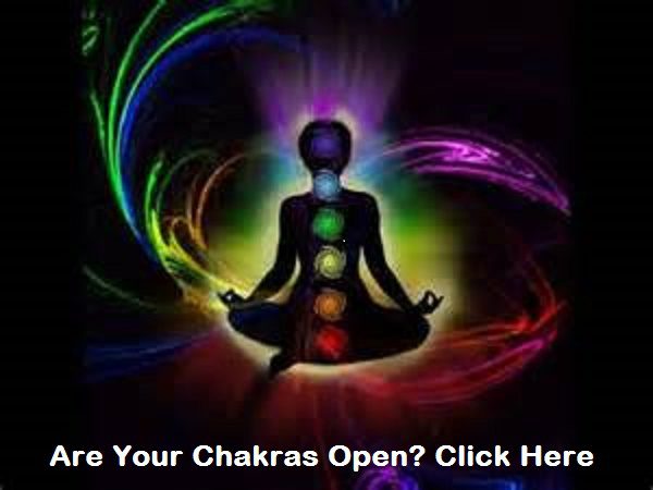 The Root Chakra