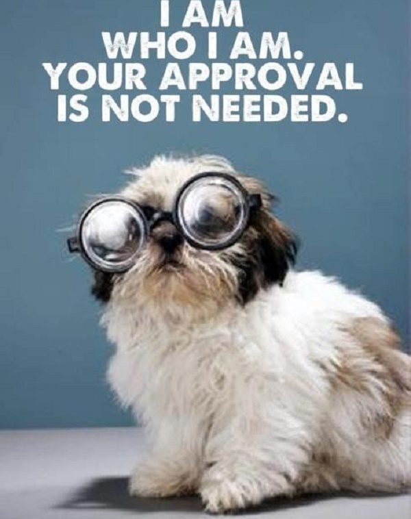 We Dont Need The Approval Of Others