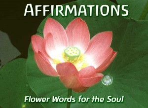 Affirmations 1