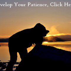 Build Patience With These 4 Amazing Tips