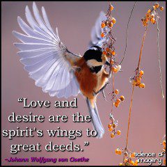 Love And Desire Will Guide The Way