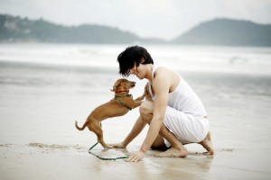 10 Ways Training Dogs Leads To Personal Growth