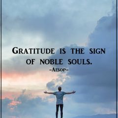 Gratitude In Life Is A Necessity