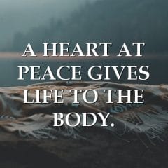 A Peaceful Heart Is Essential For The Body